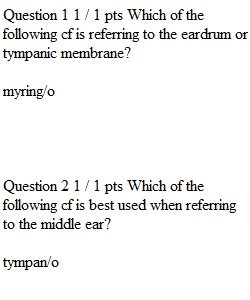 Chapter 13 Quiz